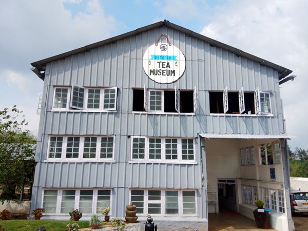 Wayanad Tea Museum